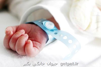 100 درصد كودكان ایرانی در بدو تولد واكسن هپاتیت B می گیرند