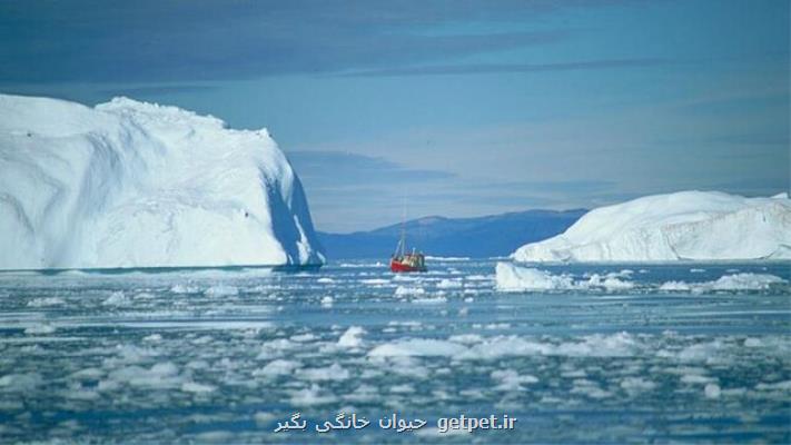 سرعت آب شدن یخ های گرینلند ۷ برابر شده است