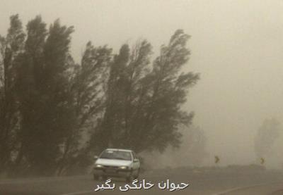 پیشبینی وزش باد شدید در تهران