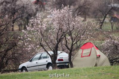 با این نقاشی ها به سیزده به در بروید!