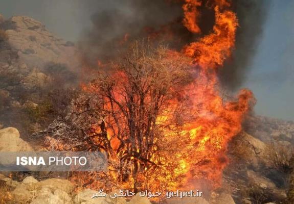 مهار یك فقره آتش سوزی در گچساران