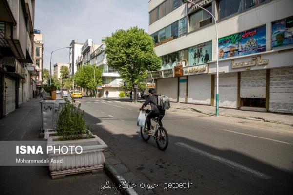 وزش باد و تداوم هوای مطلوب در پایتخت