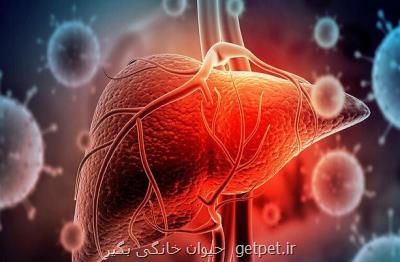 ارتباط بین مصرف داروی فاویپیراویر و صدمه كبدی بیماران كووید ۱۹