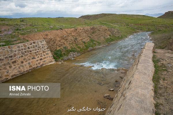 درخواست سازمان جنگلها برای تخصیص هرچه سریع تر بودجه آبخیزداری