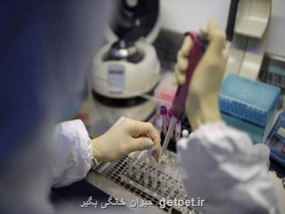 اختصاص 216 آزمایشگاه تشخیص كووید 19 برای مسافران مرزی