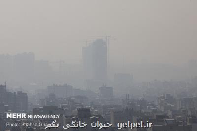آلودگی هوا سبب سینوزیت مزمن می شود