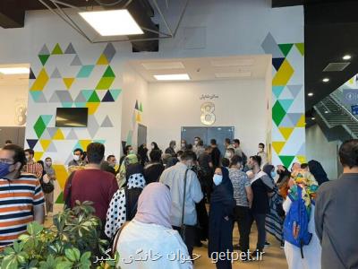 بازهم صف و بازهم بی نظمی