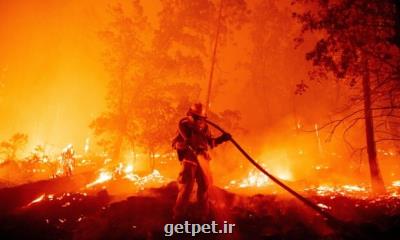 ۸ مفقود در آتش سوزی های شمال کالیفرنیا