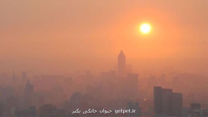 تغییر الگوهای آب و هوایی و خطرات موج گرما برای ساکنان اروپا