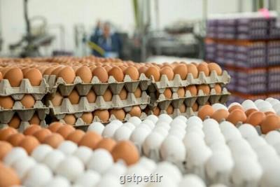 حذف معجون سلامتی از سبد غذایی فقرا