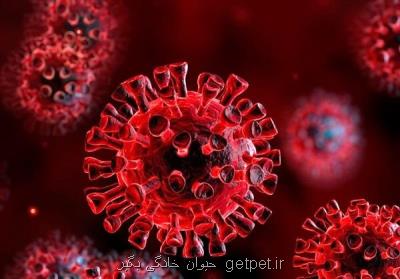50 درصد بازماندگان کرونا درگیر سندرم کووید طولانی می شوند