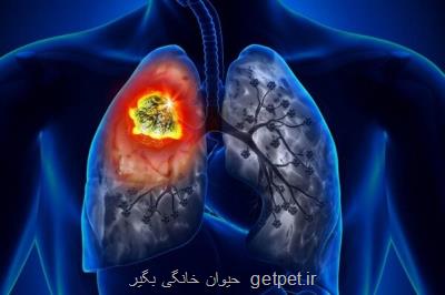 روغن کانابیدیول می تواند تومورهای سرطان ریه را کوچک کند