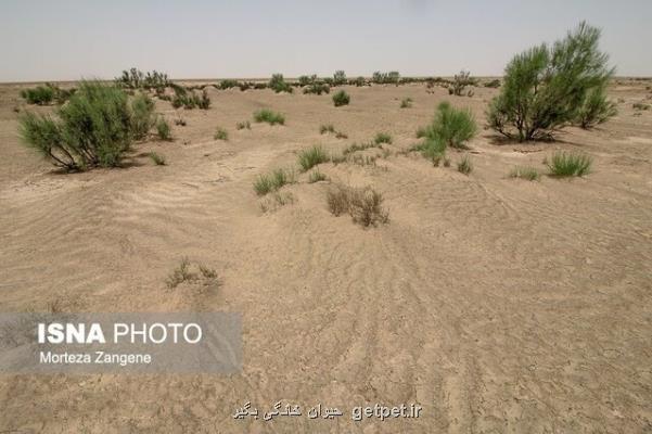 آب که دوتا شد، خاک شور می شود