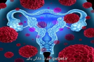 واکسن HPV بهترین راه پیش گیری از سرطان دهانه رحم