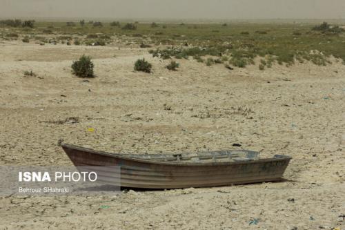 ۴۲ درصد تالاب های جهان از بین رفته اند