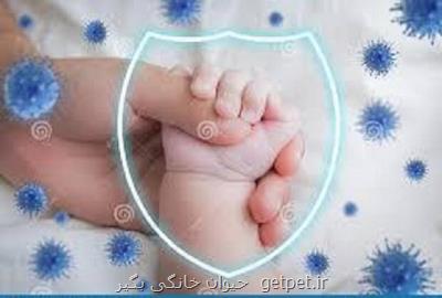 نوزادان واکنش ایمنی قوی تری به کووید ۱۹ دارند