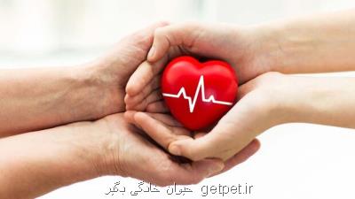 اهدای اعضای بانوی مرگ مغزی به 3 بیمار زندگی باردیگر بخشید