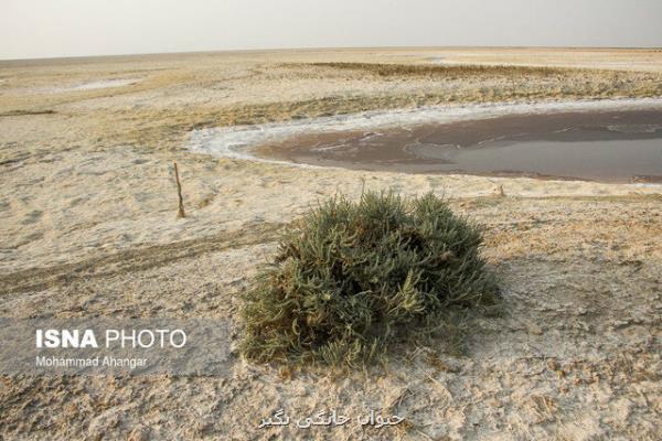 افزایش کانون های گرد و خاک نسبت به سال قبل