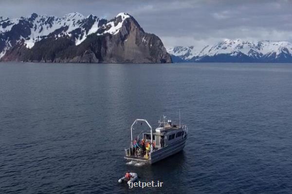اندازه گیری دی اکسید کربن اقیانوس ها با کمک یک پهپاد زیردریایی
