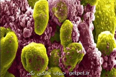 سرطان پروستات ریسک لختگی خون را بیشتر می کند