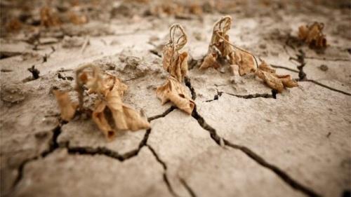 اعلام وضعیت اضطراری خشکسالی در شمال ایتالیا