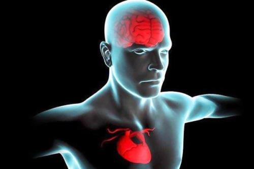 سلامت ایده آل قلب ریسک بیماری عروق مغزی را کاهش می دهد