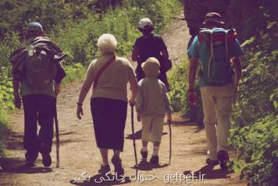 اجتماعی بودن حس هدفمندی را در افراد مسن بالا می برد