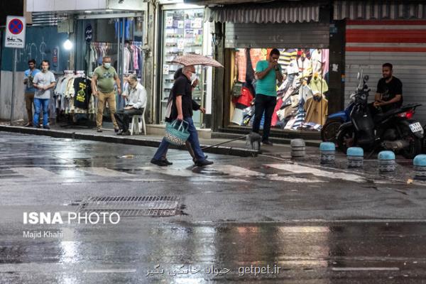 وقوع رگبار در شمال و وزش باد شدید در نیمه جنوبی و غرب تهران