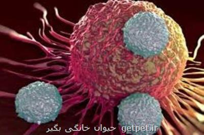 مردان بیش از زنان مستعد مبتلاشدن به سرطان هستند