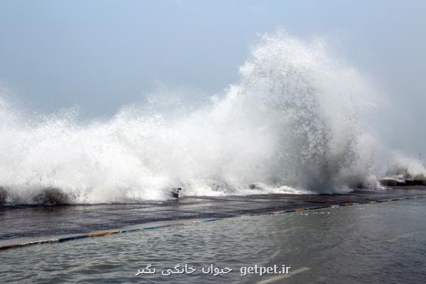 وزش باد شدید و افزایش ارتفاع موج تا یک و نیم متر در جنوب کشور