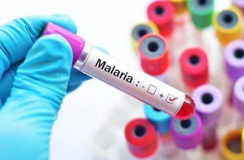 داروی جدید مالاریا در پیش گیری از عفونت موفق است
