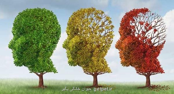 زنان بیش از مردان به آلزایمر مبتلا می شوند