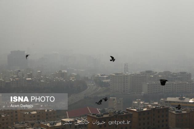 افزایش غلظت آلاینده ها درهوای تهران و کرج