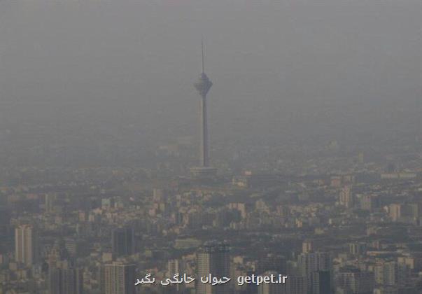 مدارس تهران شنبه هم غیرحضوری شدند