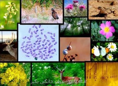 نابودی بخش زیادی از تنوع زیستی ایران