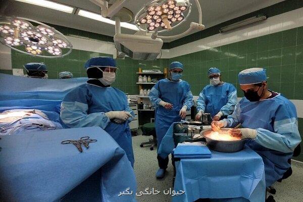 اهدای قلب در مشهد نجات بخش جان جوان چنارانی شد