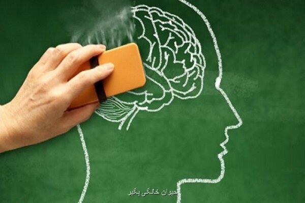 داروهای سوزش معده احتمال مبتلا شدن به زوال عقل را می افزایند