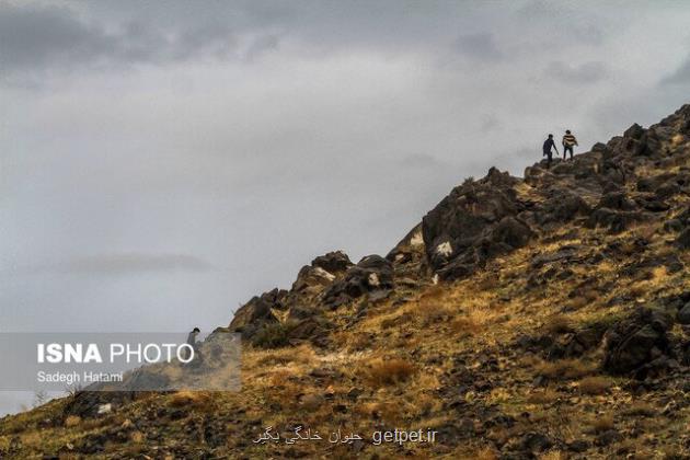 طبیعت گردان به کوهستان های البرز نروند