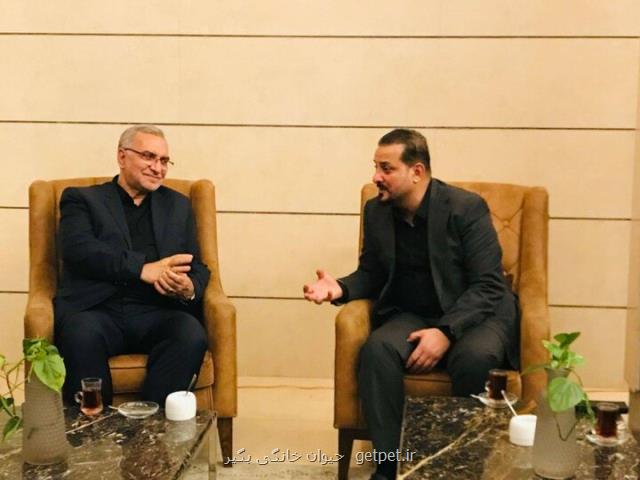 وزیر بهداشت با مدیرعامل سلامت عمومی نجف دیدار کرد