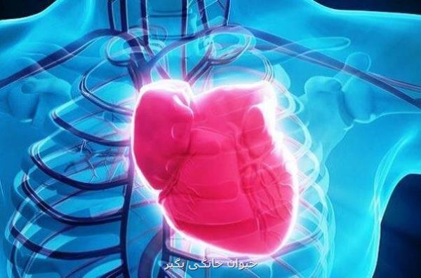 یائسگی سلامت قلب زنان را به خطر می اندازد