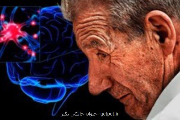 ویتامین B۳ به مدیریت پارکینسون کمک می کند