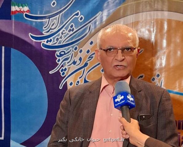 پوسیدگی دندان ها پس از کرونا افزایش پیدا کرد