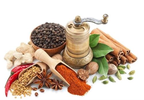 رازهای مزاج شناسی از دموی های پرانرژی تا صفراوی های تیزهوش