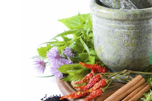 برگزاری جشنواره غذای ایران جوان با طب ایرانی در وزارت بهداشت