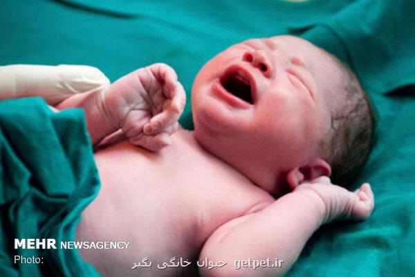 تولد نوزاد عجول آرادانی در آمبولانس