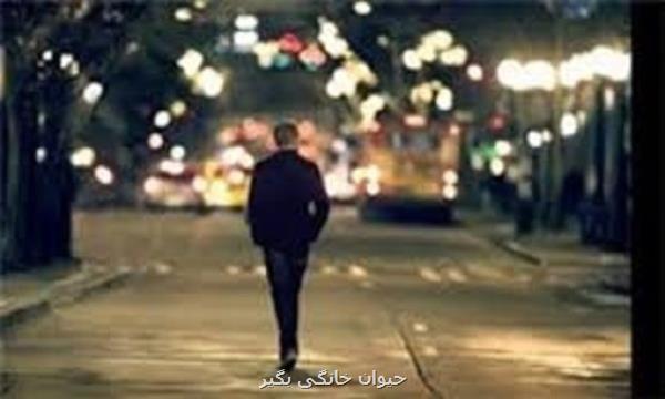 بازنشستگی در خارج از کشور با تنهایی بیشتر هم راه است
