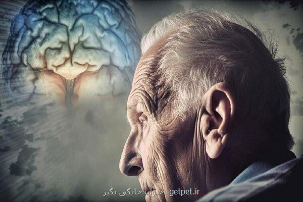 نتایج اعجاب انگیز یک مطالعه دارویی که از آلزایمر پیشگیری می کند