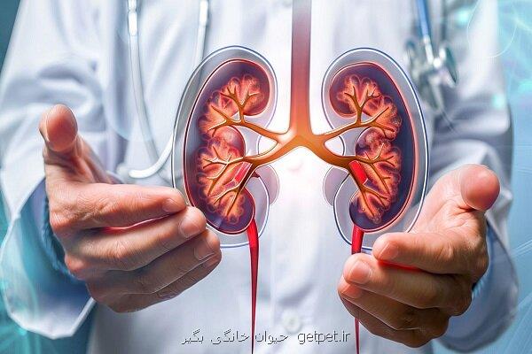 تشخیص بیماری کلیه از راه ماسک تنفسی