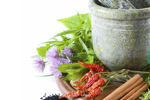 برگزاری جشنواره غذای ایران جوان با طب ایرانی در وزارت بهداشت