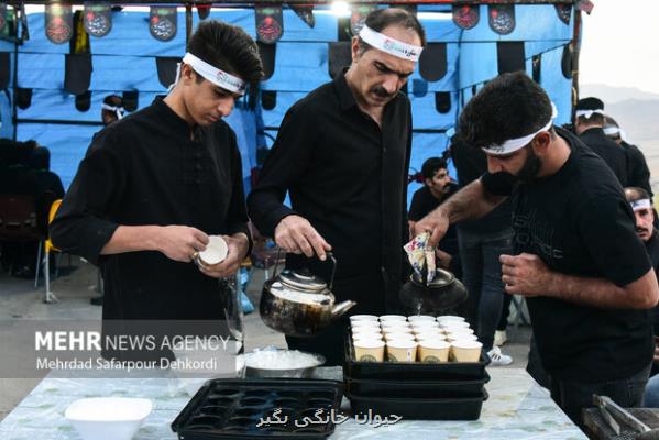 اهمیت نوشیدن زیاد مایعات در راهپیمایی اربعین